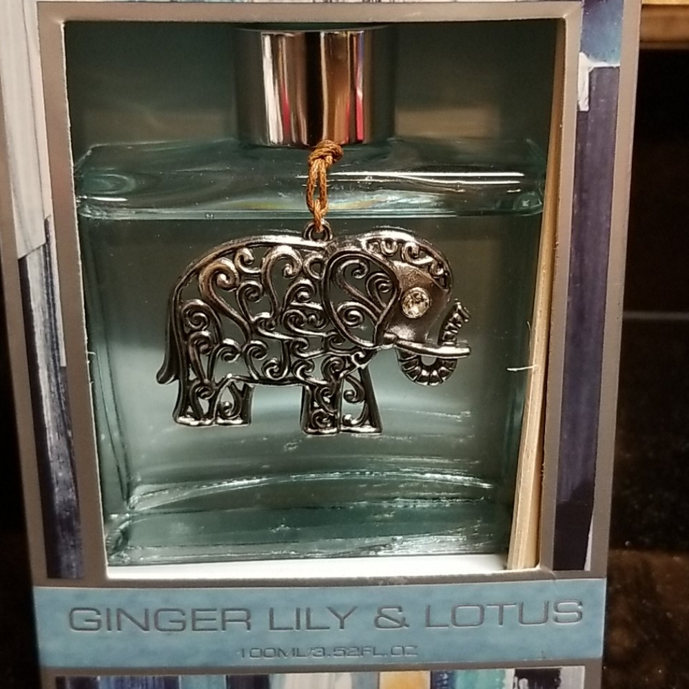 Fragrance Reed Diffuser - Picture 2 of 5